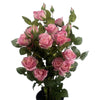 Artificial Flowers Rose Bush Potted Deluxe Highly Realistic