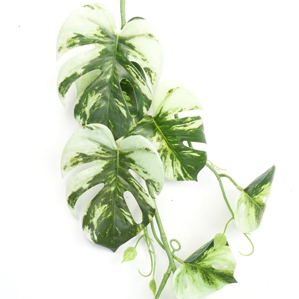 Artificial Hanging Plant Variegated Monstera Plant Pack x 6