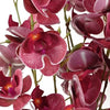 Pack of 6 x Artificial Flowers Dark Pink Mini Orchid Stem 80cm