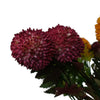 Pack of 6 x 70cm Large Ball Dahlia Artificial Flower Stem Pink - Premium Quality