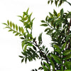60cm Artificial Nandina Bonsai Ficus Tree - Premium Quality