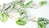 6 x 120cm Artificial Hanging Trailing Plant Alocasia Dragon Scale Light - Premium Quality