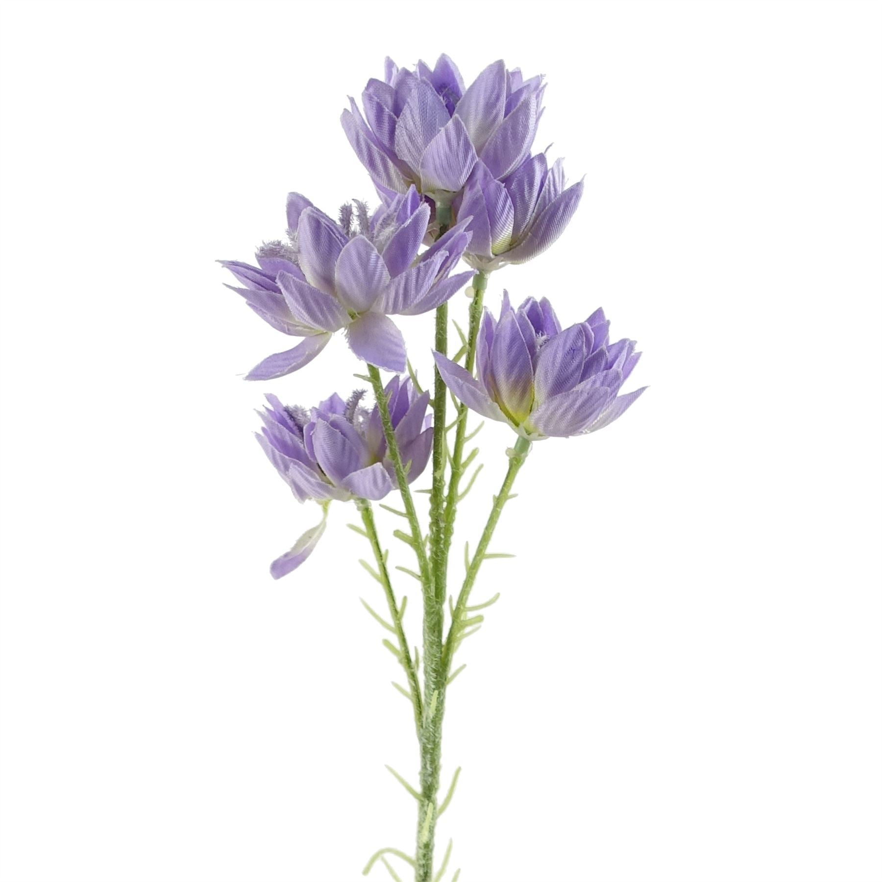 Pack of 6 x 60cm Purple Starflower Stem - 30 Flowers - Premium Quality