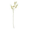 Artificial Flowers Cream Mini Orchid Stem 80cm