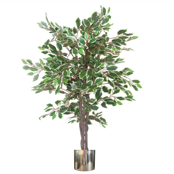 Artificial Ficus Tree Plant White Edge Twist 130cm Plants Silver Metal Planter