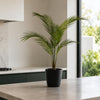 70cm Artificial Areca Palm Tree