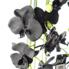 Large Black Orchid Plant - Artifcial - 41 REAL TOUCH flowers