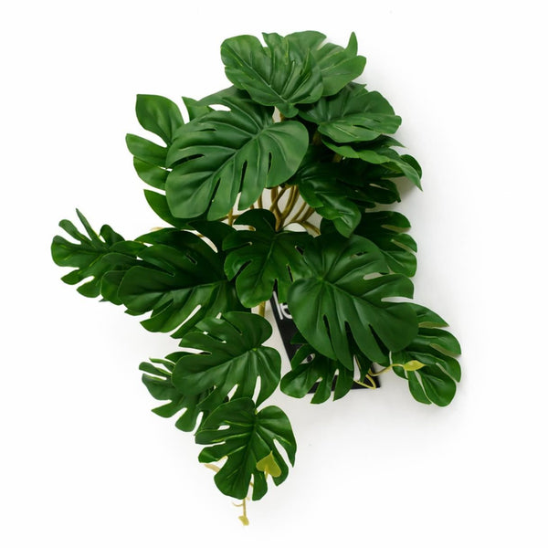 Pack of 6 x 25cm Realistic Monstera Stem Plant - Dark Green