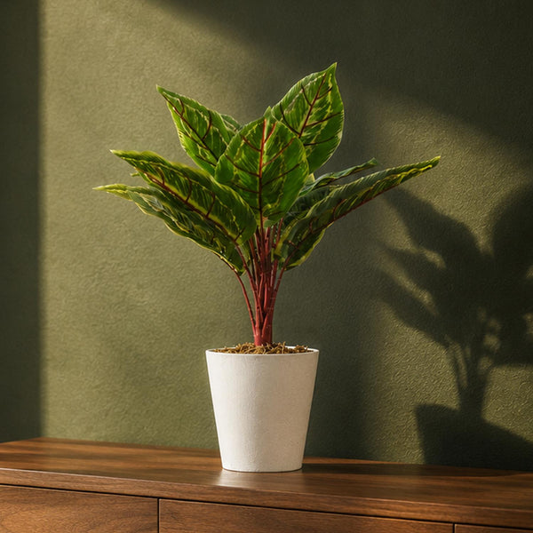 38cm Potted Artificial Calathea Veitchiane - Premium Quality