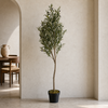 180cm Artificial Natural Look Olive Tree with Wooden Trunk - Premium Quality