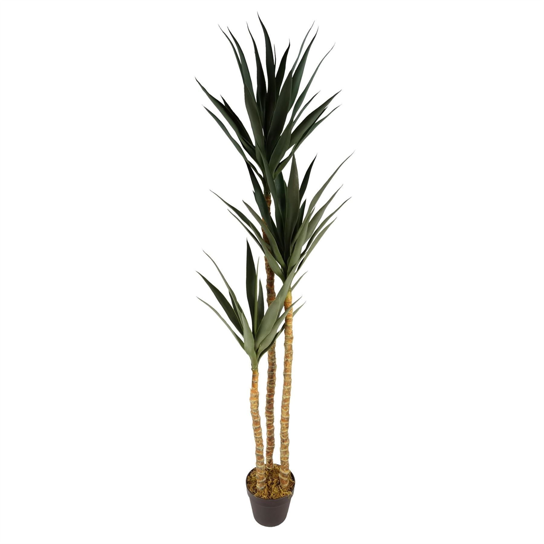 Artificial Tree Yukka Tropical House Plant 170cm Tall XXL Yukka Botanik