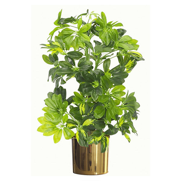 Leaf Artificial Arboricola Plant 75cm Gold Planter