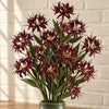 Pack of 6 x 72cm Artificial Burgundy Spider Lily Stems