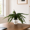 Artificial Fern Bush in Decorative Planter