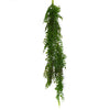 Hanging String of Pearls Fern Plant Dark Green 100cm