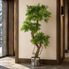 140cm Botanik Realistic Artificial Japanese Fruticosa Ficus Tree, Green Silver - Premium Quality