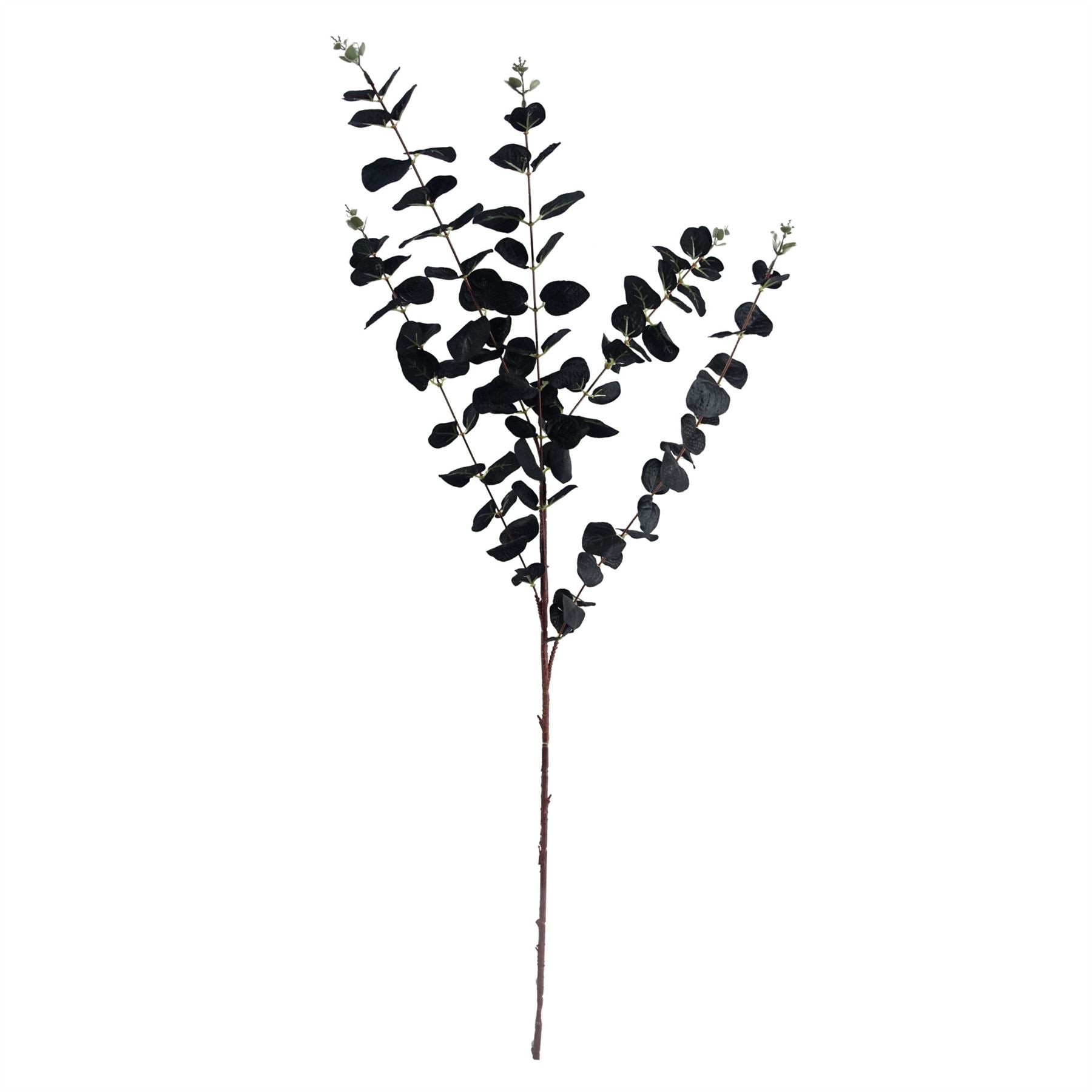 Leaf 80cm Black Eucalyptus and Viburnum Arrangement Glass Vase