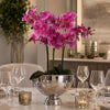 29cm XL Silver Champagne Bowl Metal Planter
