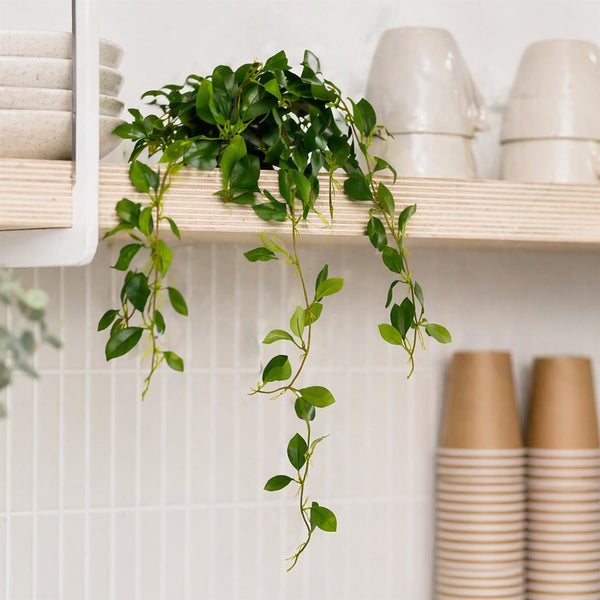 55cm Artificial Trailing Ficus Vine Stem - Premium Quality