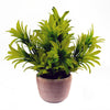 Artificial Plant Terracotta Pot Honey Shrub