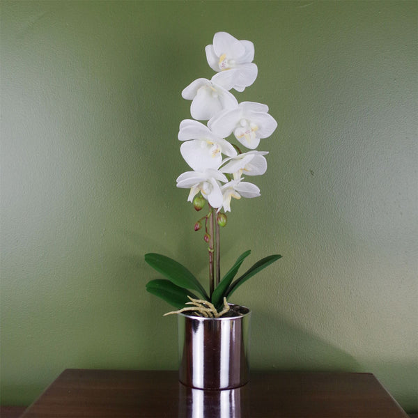 Artificial Orchid White with Silver Pot 46cm Botanik