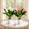 38cm Artificial Pink Peace Lily Plant in White Pot