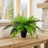 Artificial 50cm Luxury Evergreen Fern Plant