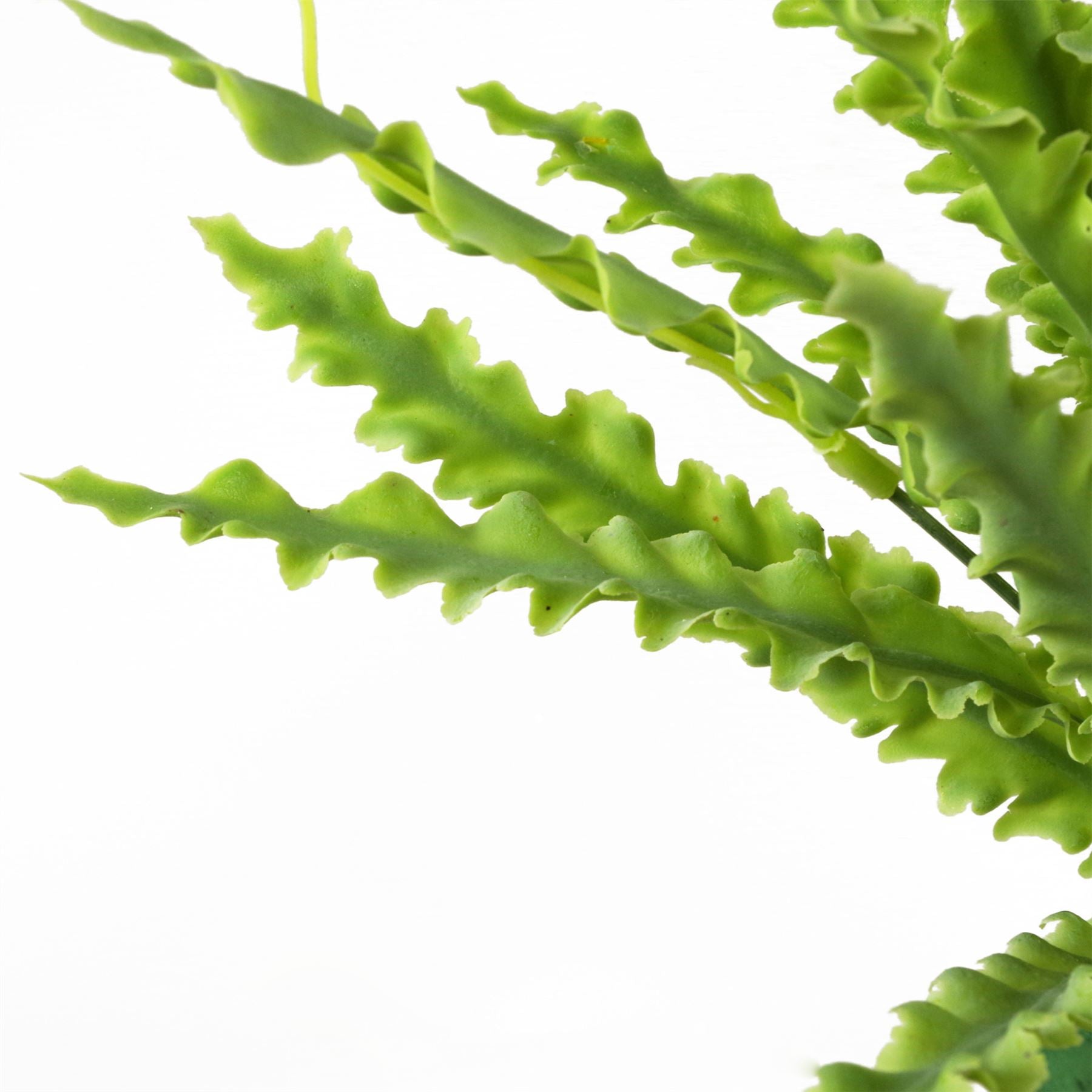 Artificial 40cm Crocodile Fern Plant