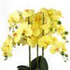 Orchid Artificial Yellow Black Ceramic Planter Botanik