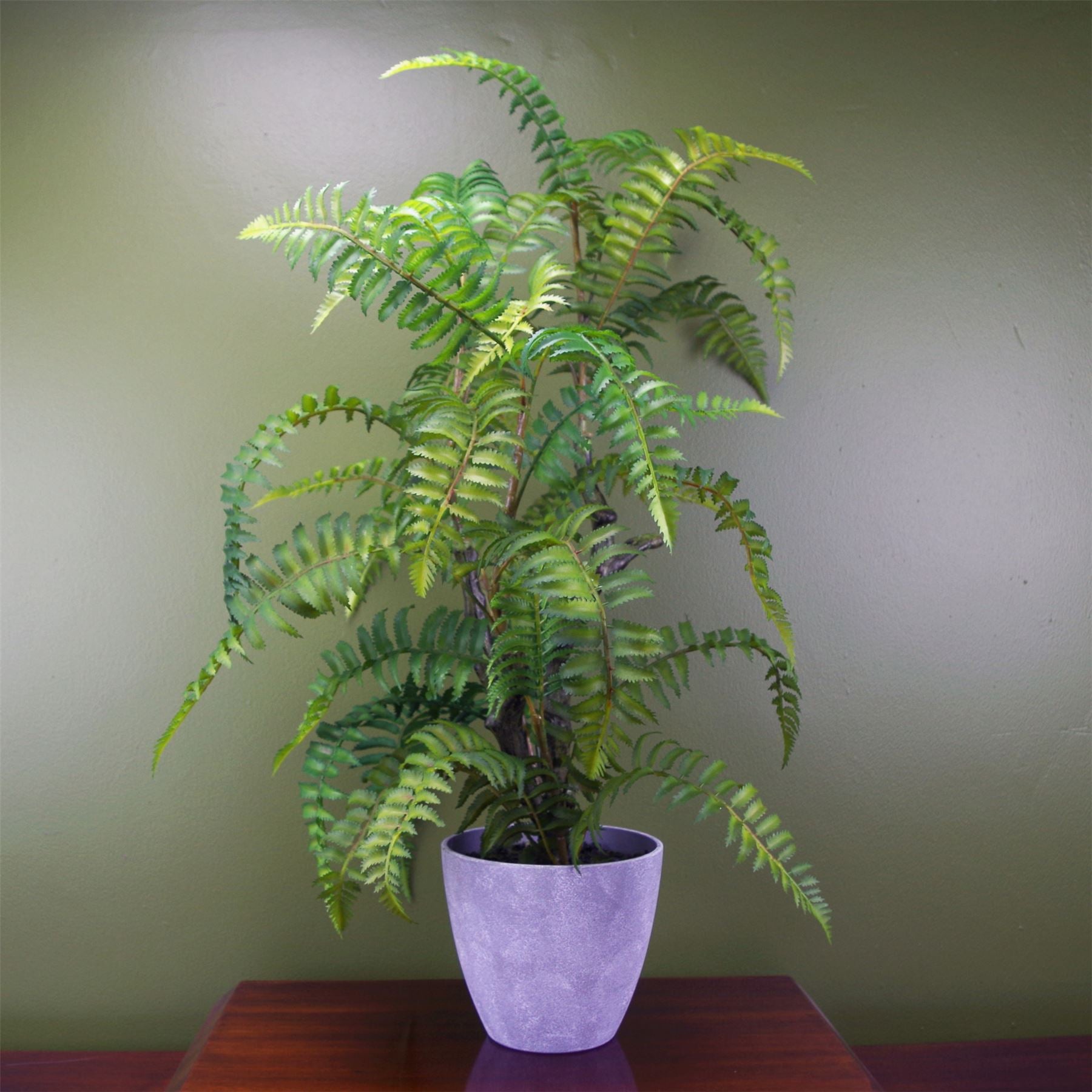 Artificial Fern Tree Plant in Decorative Planter Botanik