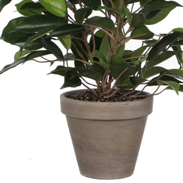 Leaf 60cm Mini Ficus Bush Plant in Decorative Planter