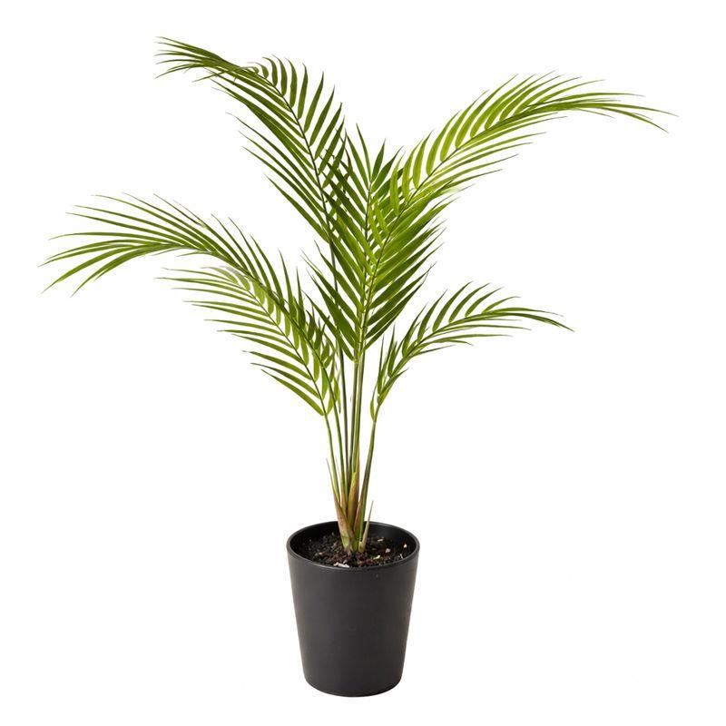 70cm Artificial Areca Palm Tree - Premium Quality