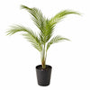 70cm Artificial Areca Palm Tree - Premium Quality