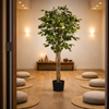 180cm Fire Retardant Deluxe Retusa Ficus Tree With 1134 Leaves