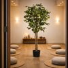 180cm Fire Retardant Deluxe Retusa Ficus Tree With 1134 Leaves - Premium Quality