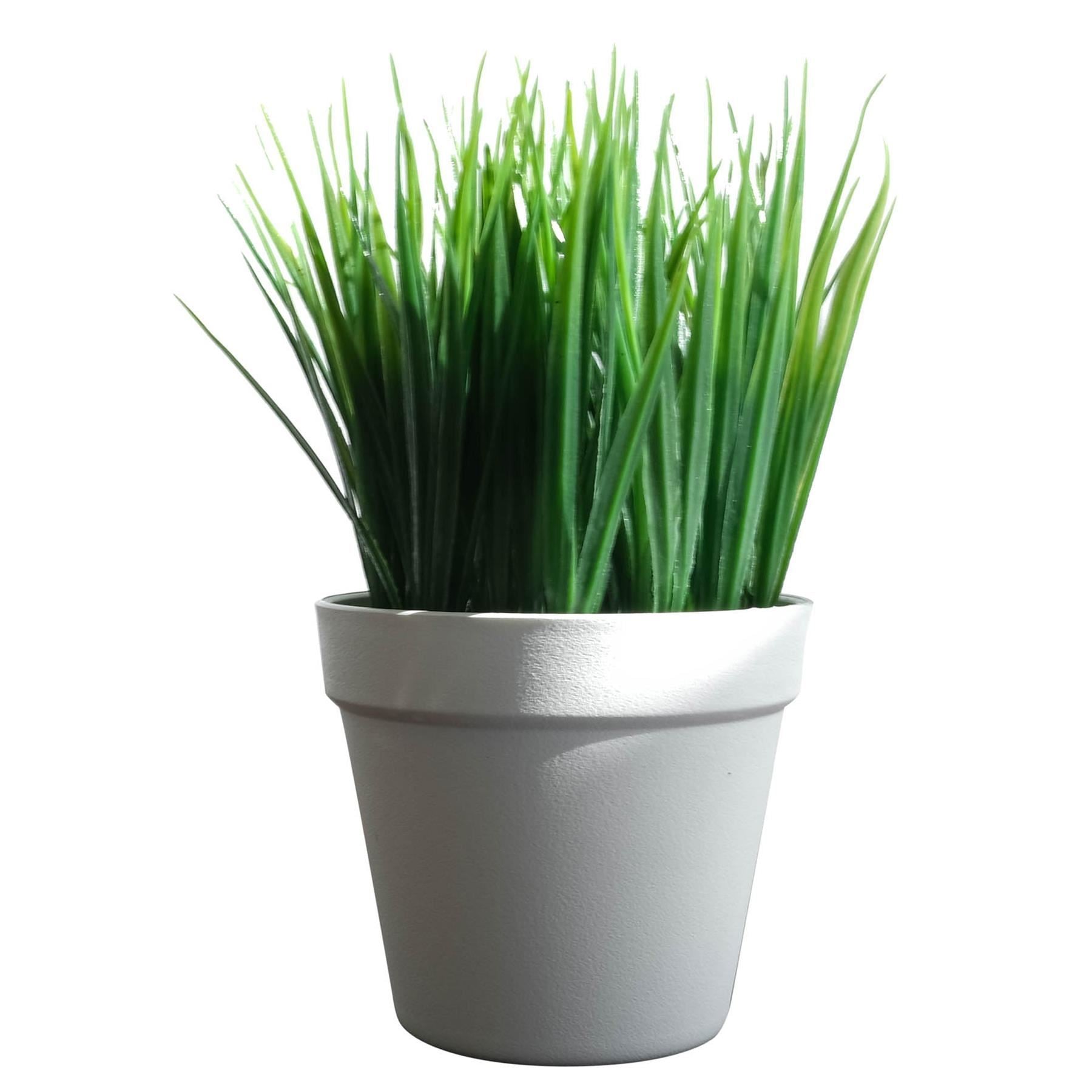 Pack of 6 x 22cm Artificial Grass Plant - Premium Quality