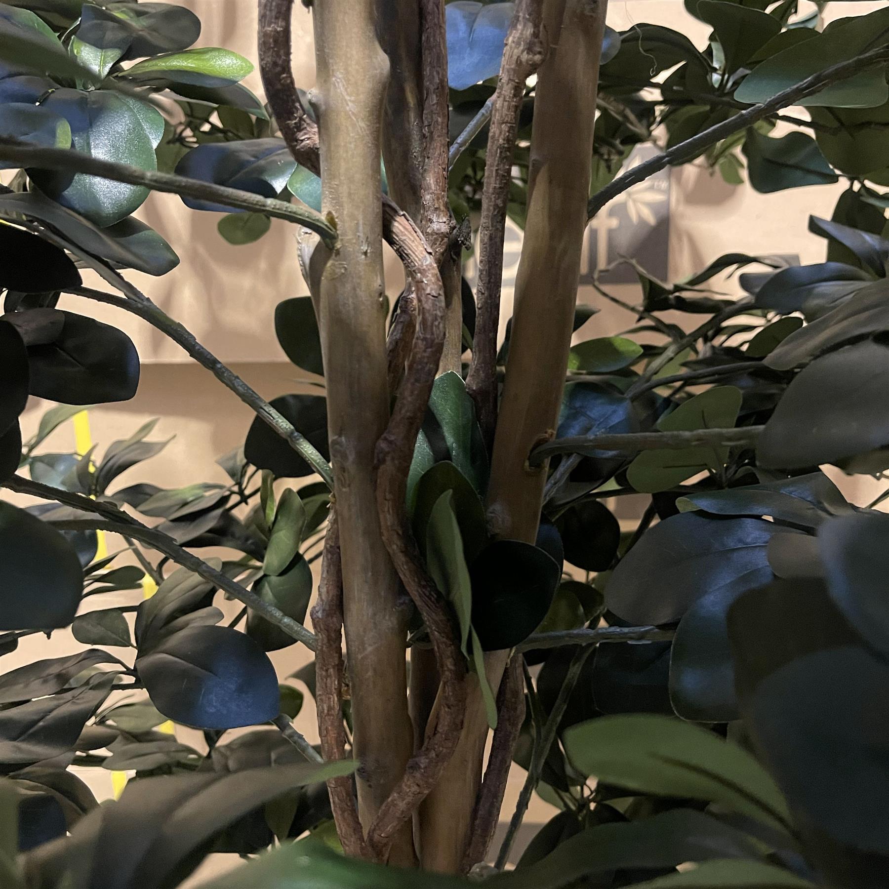 180cm Fire Retardant Black Olive Tree with 2925 Leaves and Natural Trunk