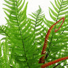 Artificial 60cm Bushy Dixie Wood Fern Dark Green Plant