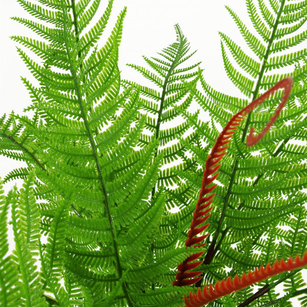 Artificial 60cm Bushy Dixie Wood Fern Dark Green Plant