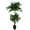 Japanese ARTIFICIAL TREE XL Fruticosa Ficus Tree Plastic Pot 160cm