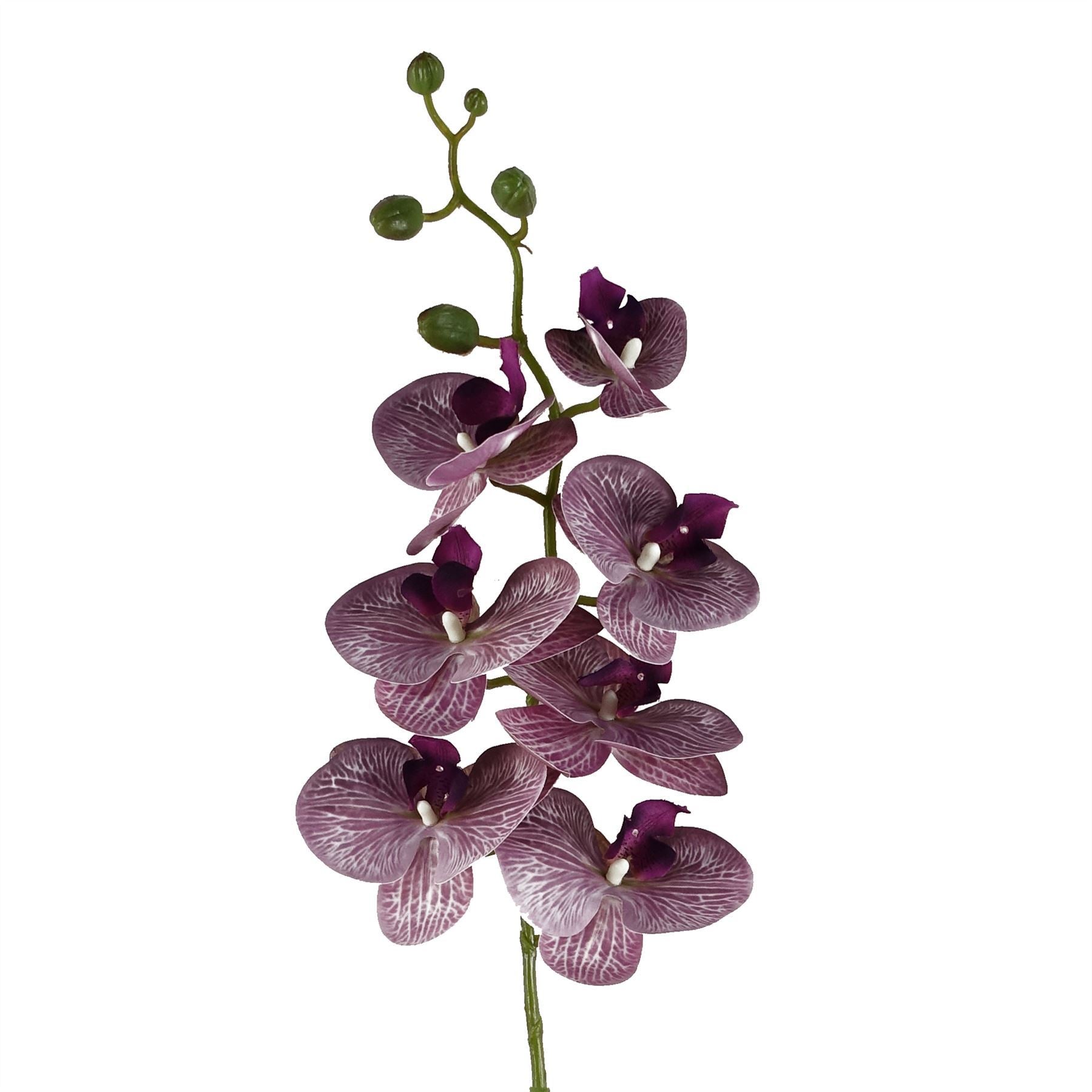 Pack of 6 x 100cm Artificial Phalaenopsis Orchid Purple Stem - 42 Flowers - Premium Quality
