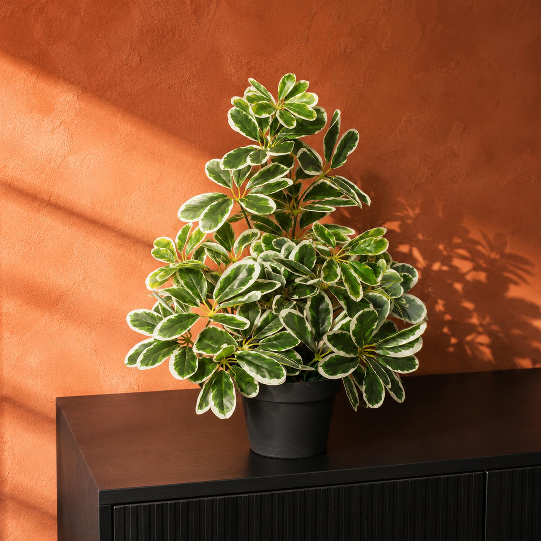 Artificial Arboricola Plant Umbrella Tree Black Plastic Pot 55cm Light Plant Botanik
