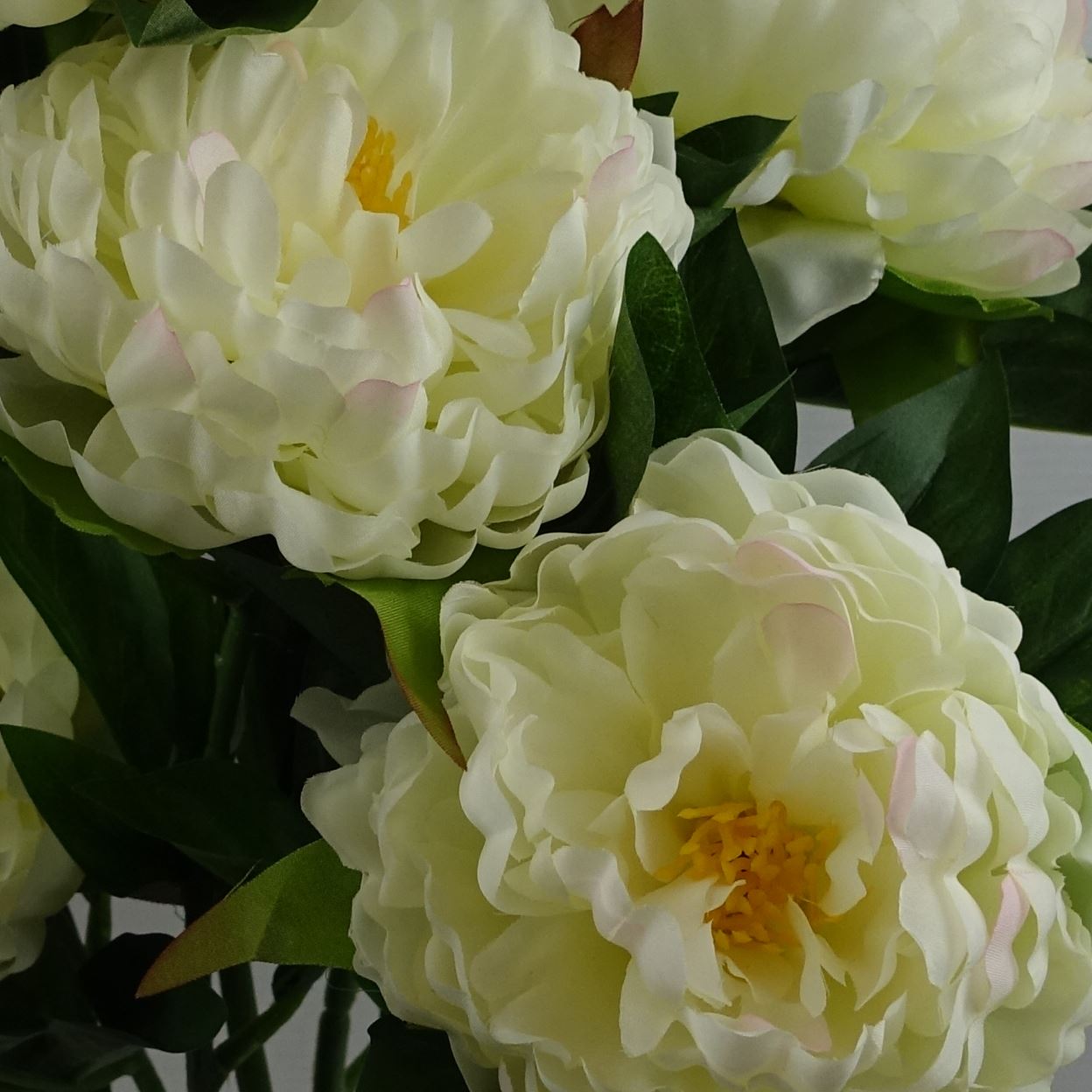 55cm Artificial White Peony Plant