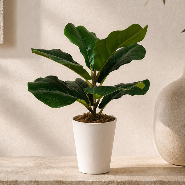 38cm Potted Artificial Fiddle Fig Plant - Premium Quality