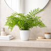 Faux 30cm Potted Southern Wood Fern