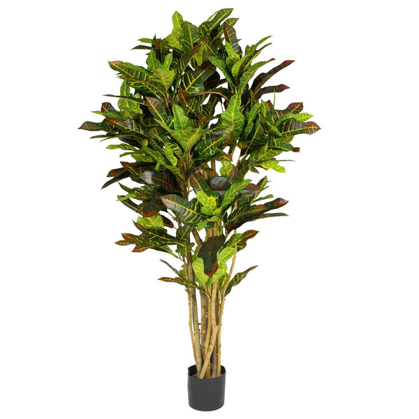 150cm Artificial Croton Tree - Premium Quality