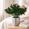 Pack of 6 x 30cm Artificial Boxwood Leaf Foliage Spray Stem