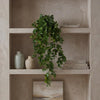 Pack of 6 x 75cm Artificial Trailing Round Leaf Hanging Foliage Plant - Deep Forest Green