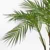 Large Artificial Palm Tree Natural Areca 90cm Silver Planter 3ft Realistic Botanik