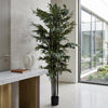 200cm Fire Retardant Natural Bamboo Tree